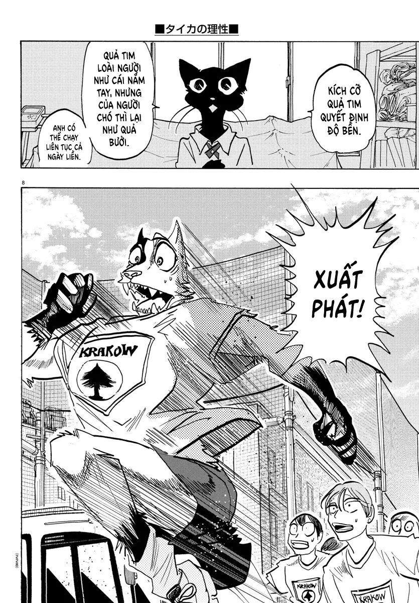 Lý Trí Của Taika Chapter 11 - 9