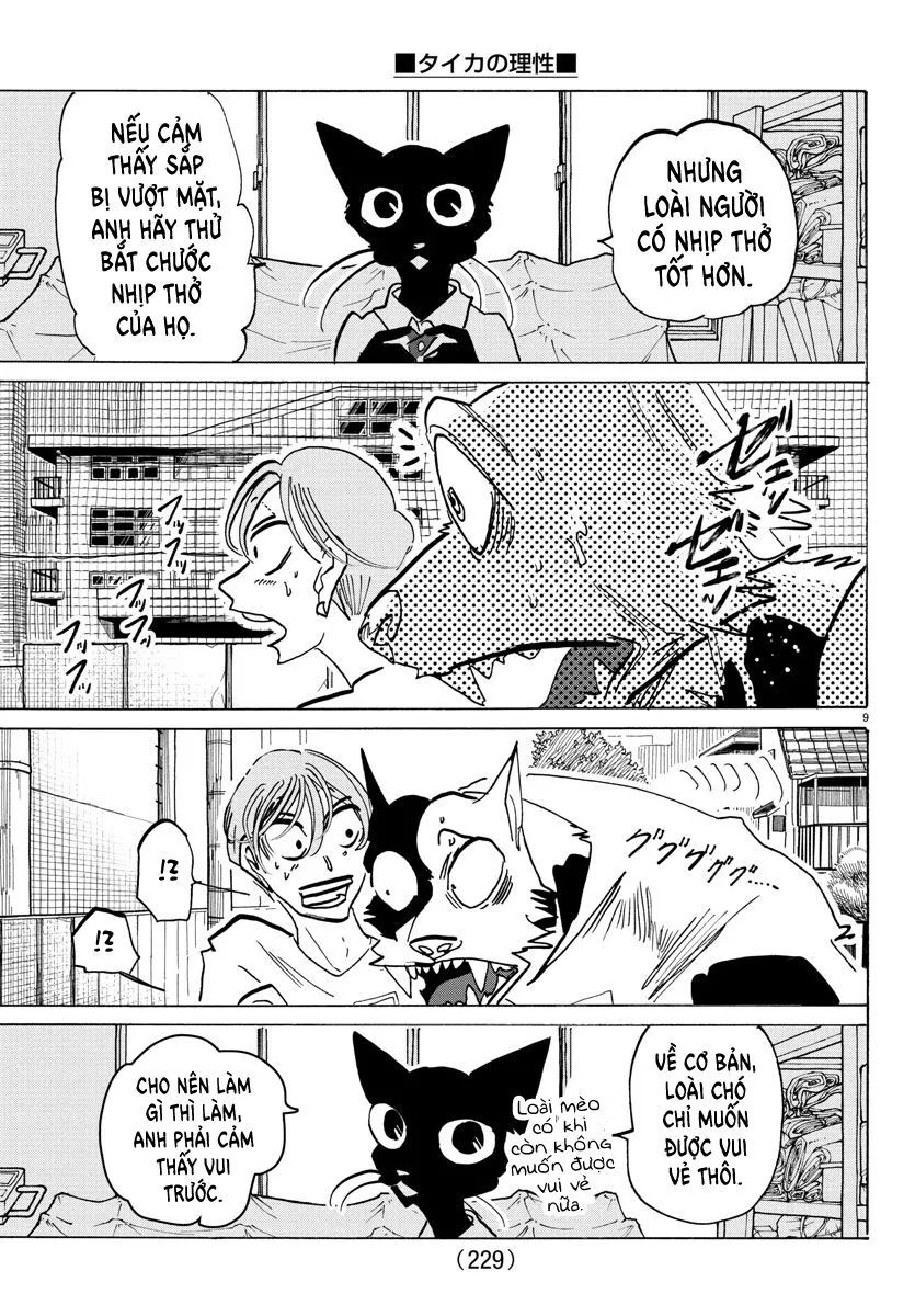 Lý Trí Của Taika Chapter 11 - 10