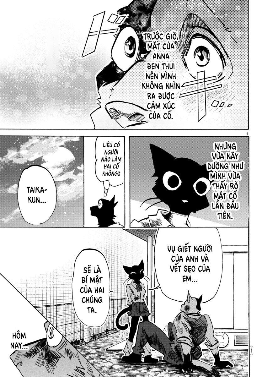 Lý Trí Của Taika Chapter 12 - 6