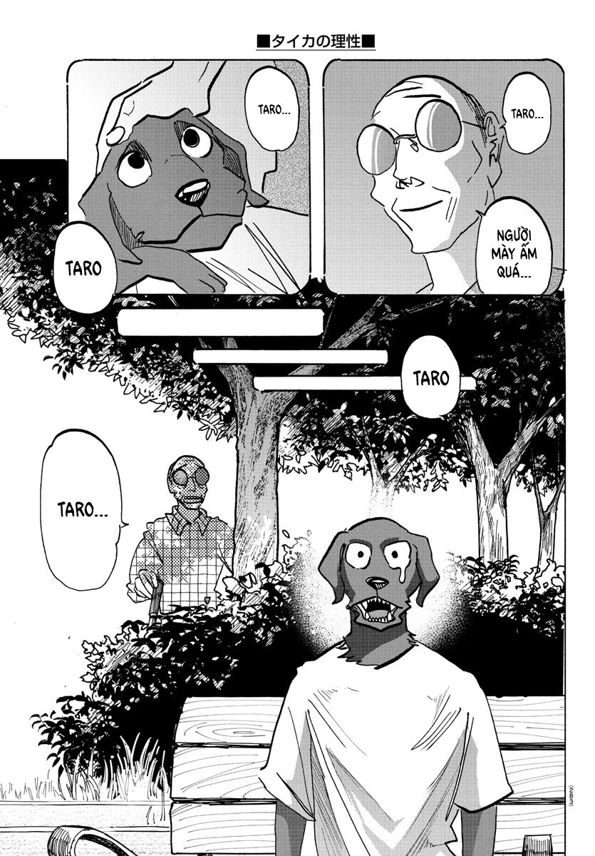 Lý Trí Của Taika Chapter 21 - 15