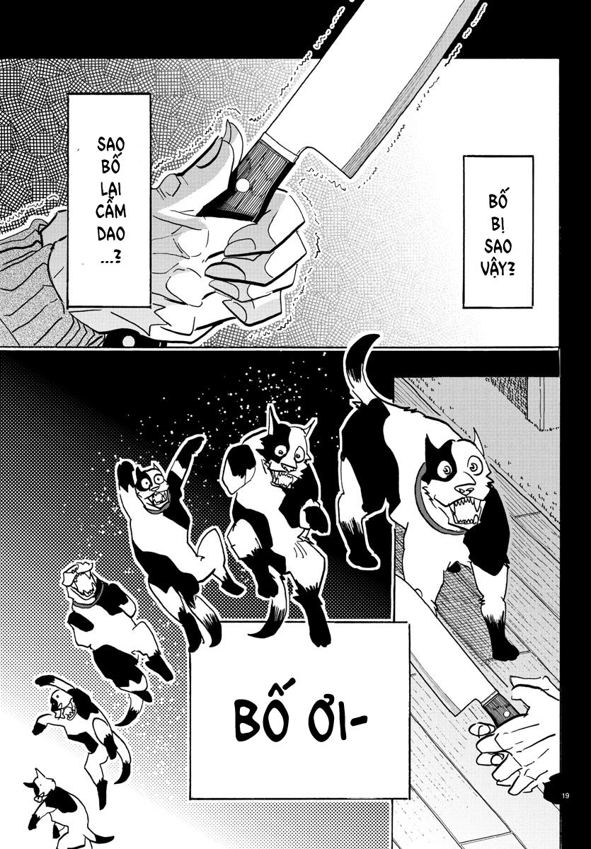 Lý Trí Của Taika Chapter 22 - 19