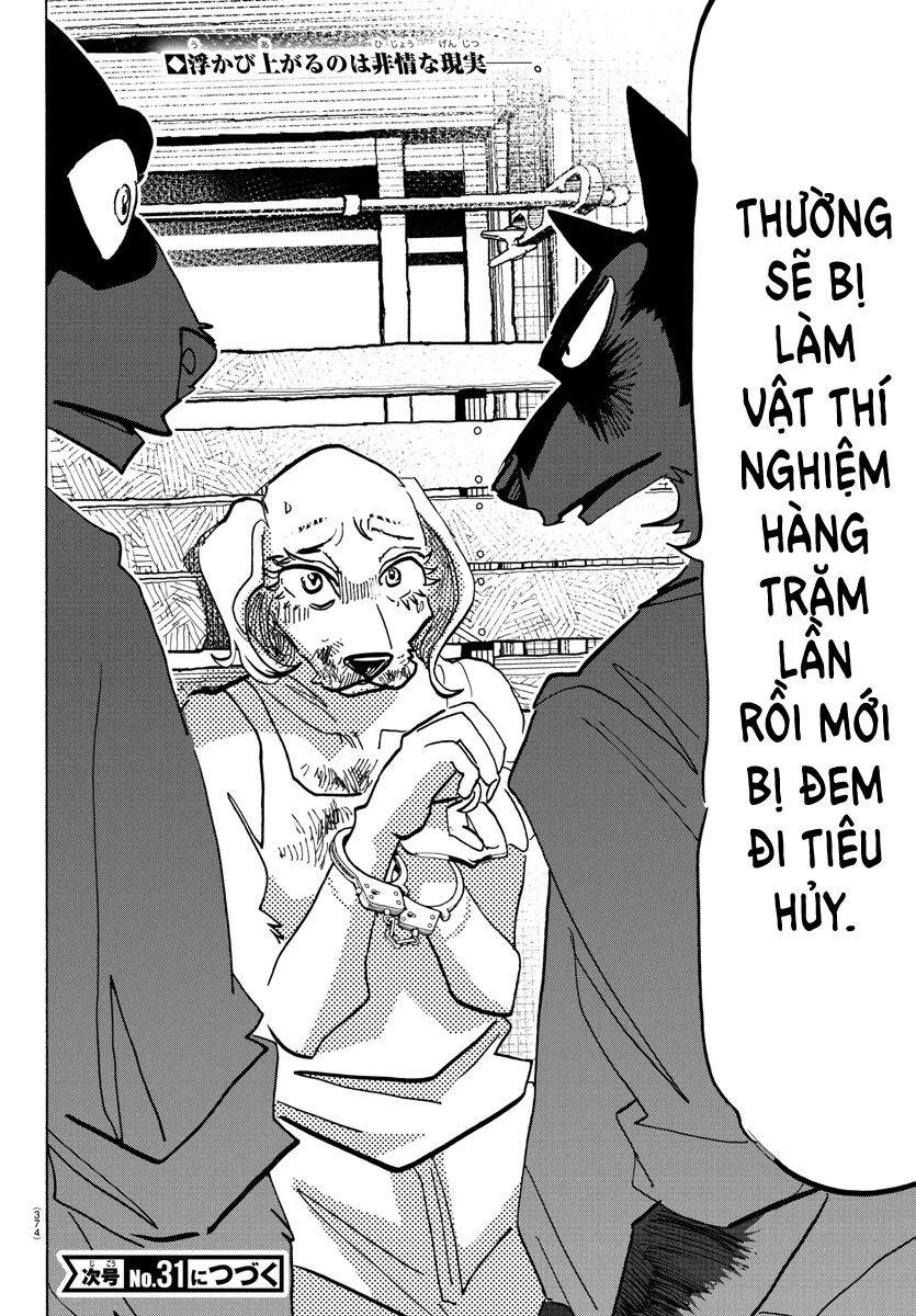 Lý Trí Của Taika Chapter 23 - 18