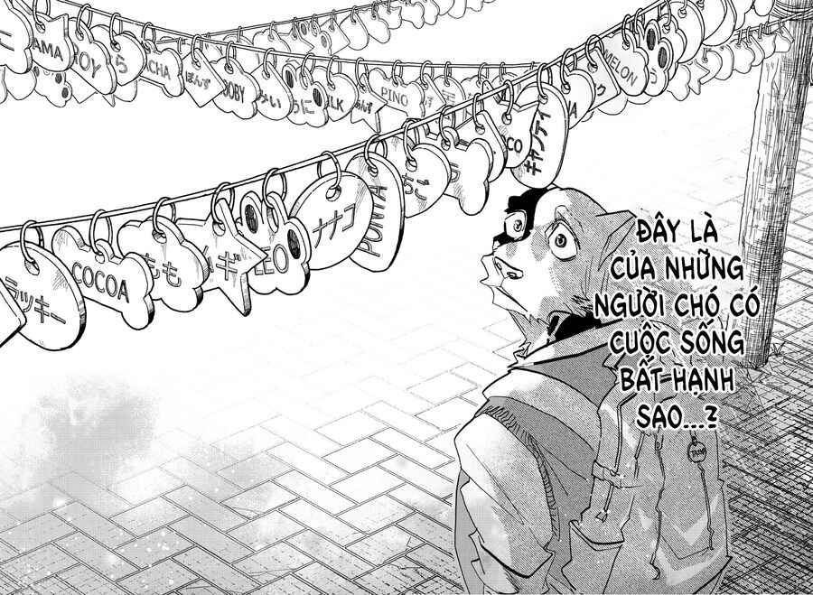 Lý Trí Của Taika Chapter 24 - 17