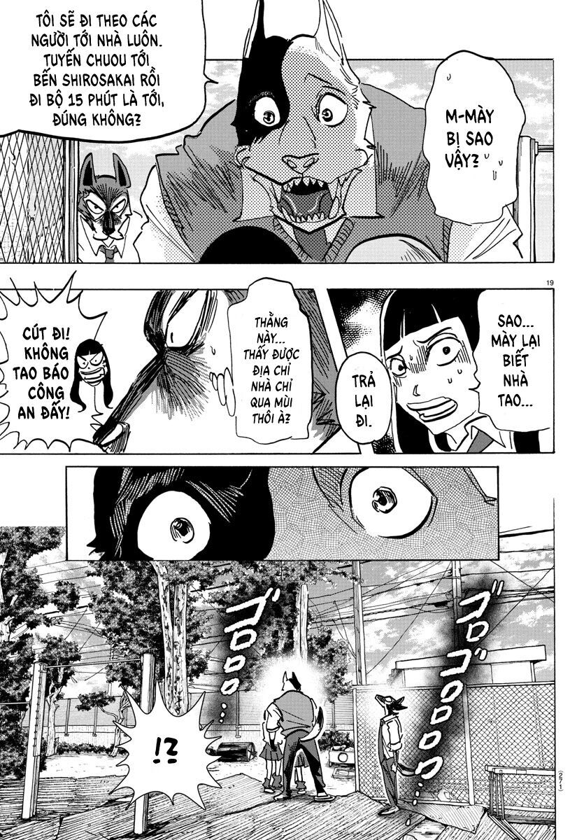 Lý Trí Của Taika Chapter 5 - 18
