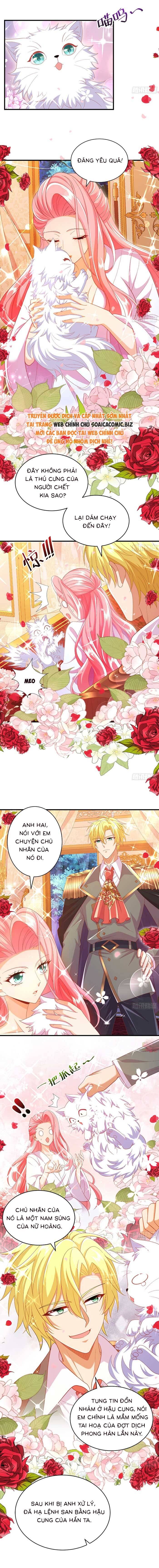 Tôi Hiến Tế Thân Mình Cho Em Gái Song Sinh Chapter 16 - 4