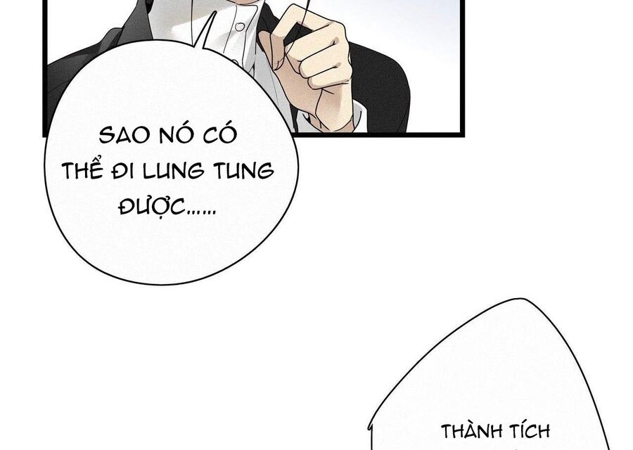 Thỉnh Quân Nhập Quẻ Chapter 19 - 46