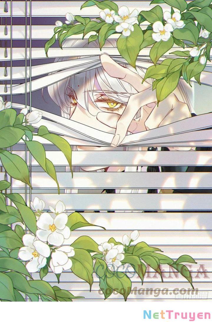 Thỉnh Quân Nhập Quẻ Chapter 29 - 3