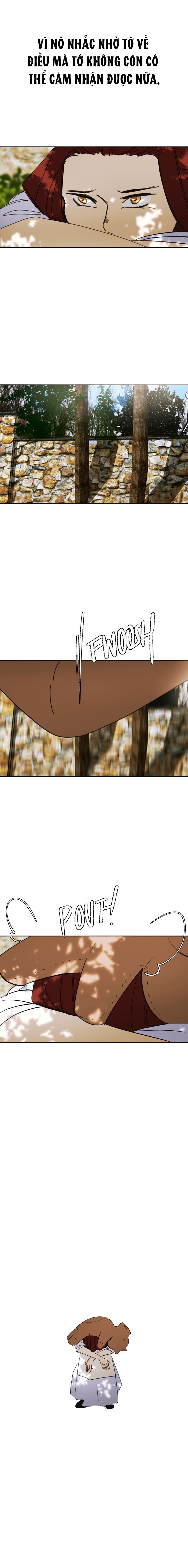 Hoa Lục Bình Tím Chapter 107 - 2