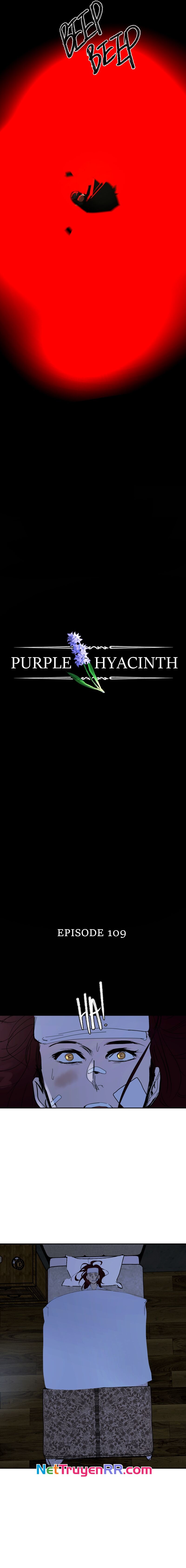 Hoa Lục Bình Tím Chapter 109 - 4
