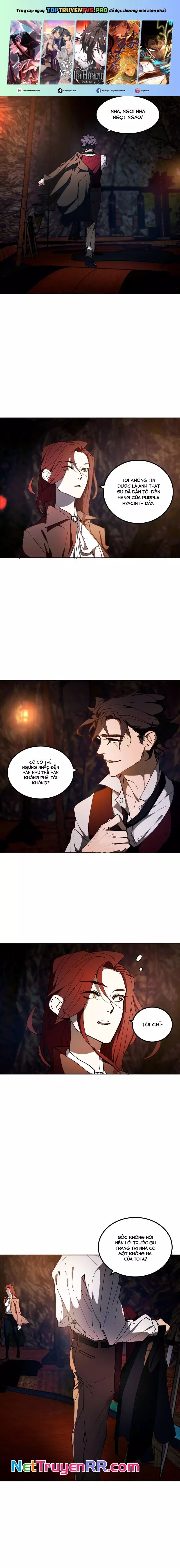 Hoa Lục Bình Tím Chapter 11.1 - 2