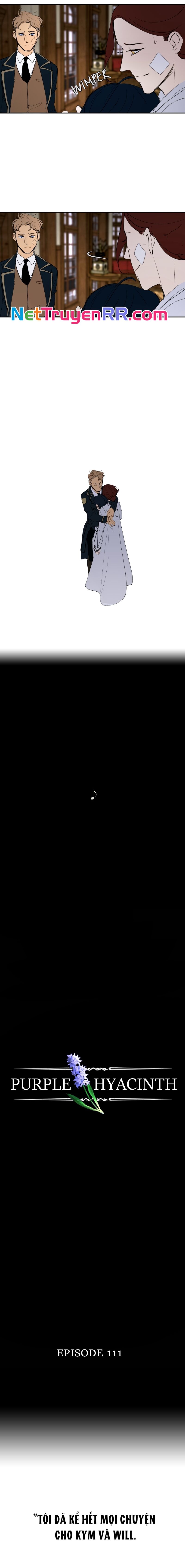 Hoa Lục Bình Tím Chapter 111.1 - 2