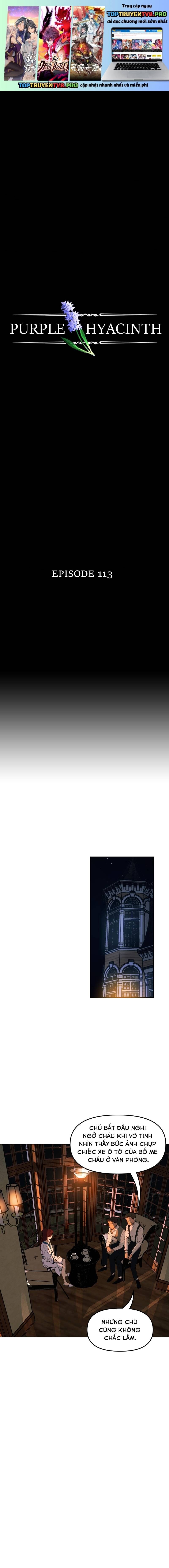 Hoa Lục Bình Tím Chapter 113 - 2