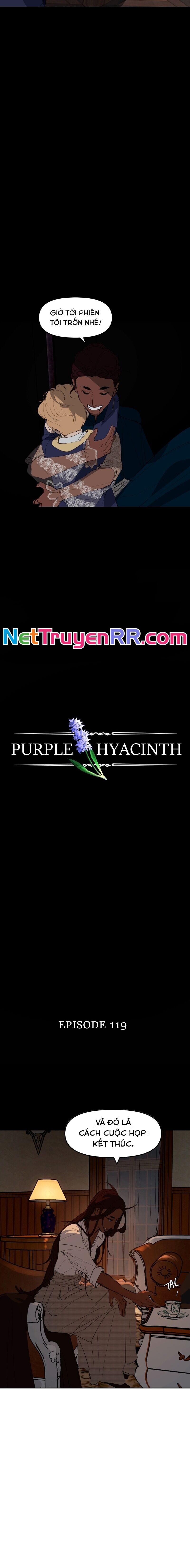 Hoa Lục Bình Tím Chapter 119.1 - 3