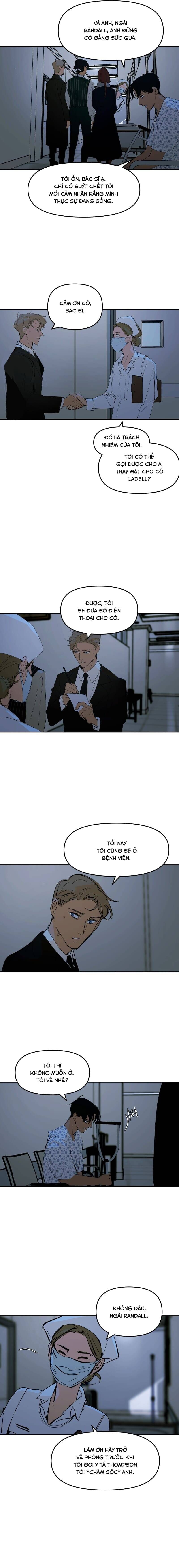 Hoa Lục Bình Tím Chapter 134.1 - 3