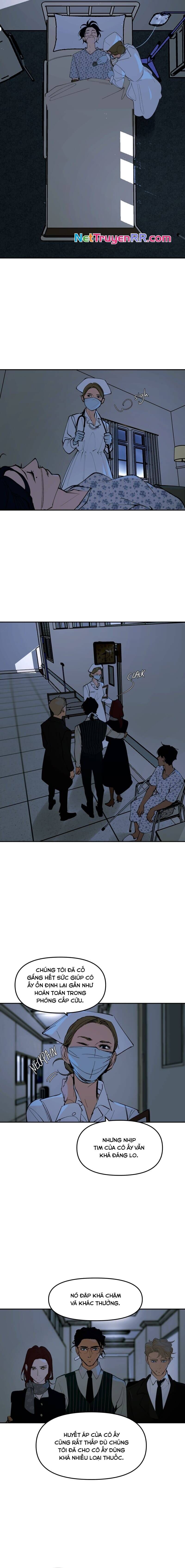 Hoa Lục Bình Tím Chapter 134 - 4