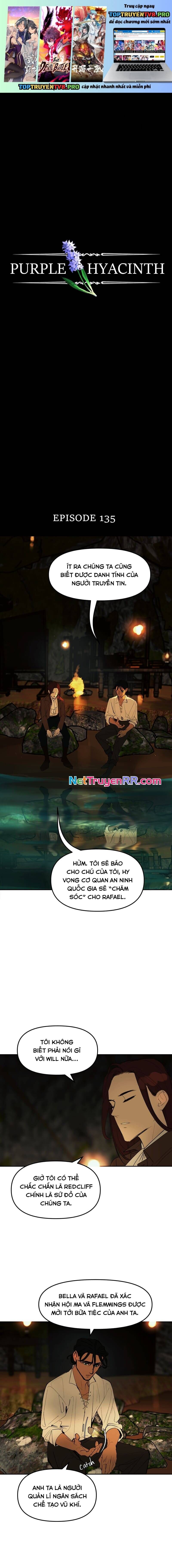 Hoa Lục Bình Tím Chapter 135 - 2