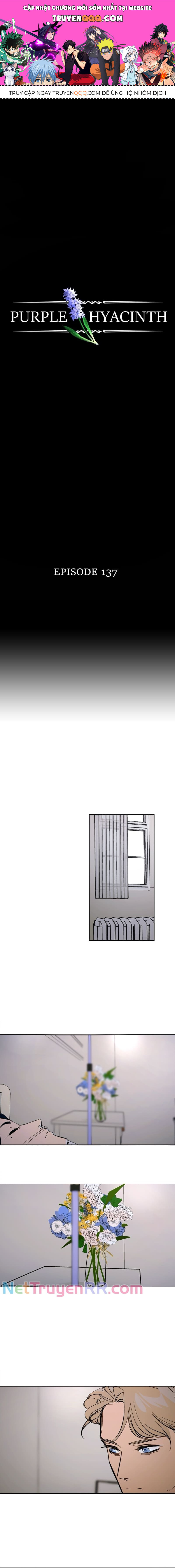 Hoa Lục Bình Tím Chapter 137 - 1