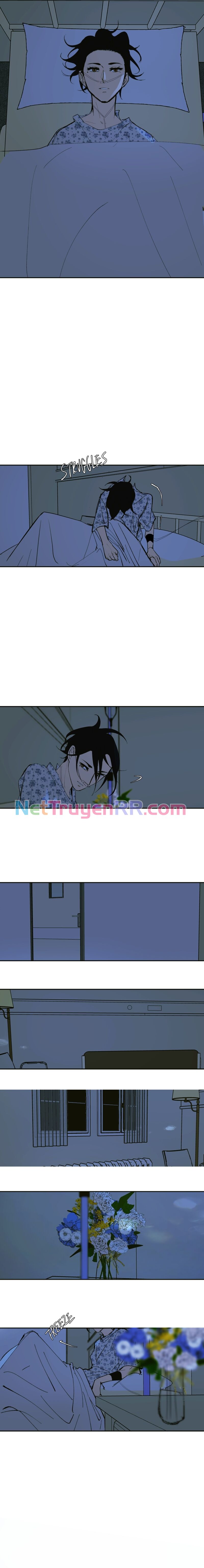 Hoa Lục Bình Tím Chapter 139.1 - 4