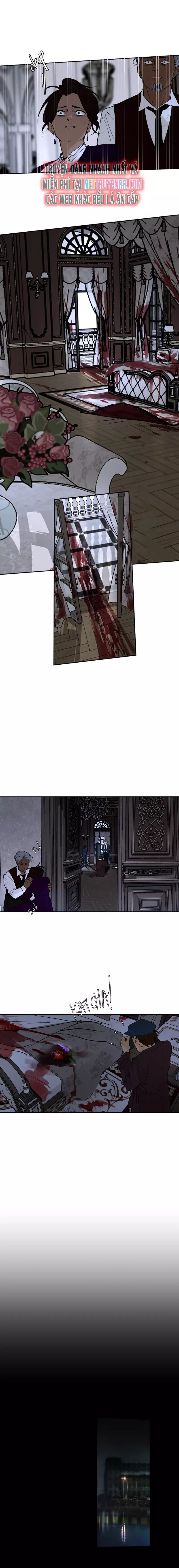 Hoa Lục Bình Tím Chapter 151 - 5