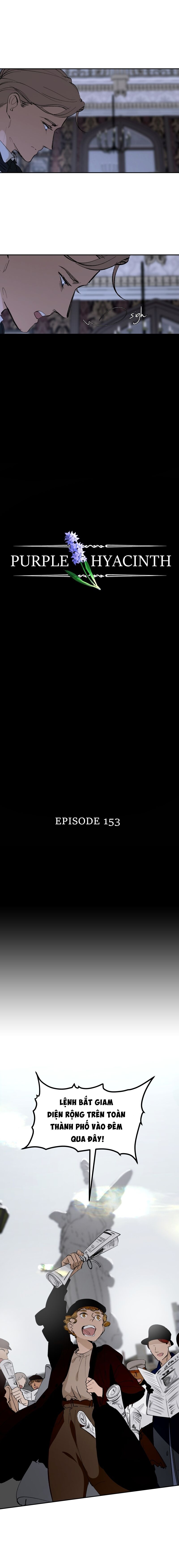 Hoa Lục Bình Tím Chapter 153 - 4