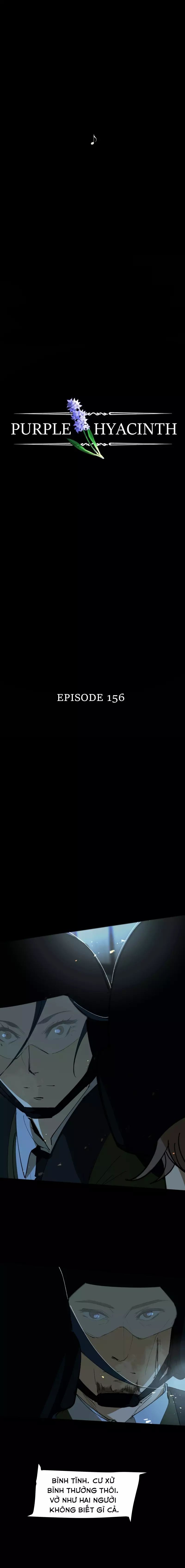 Hoa Lục Bình Tím Chapter 156 - 3