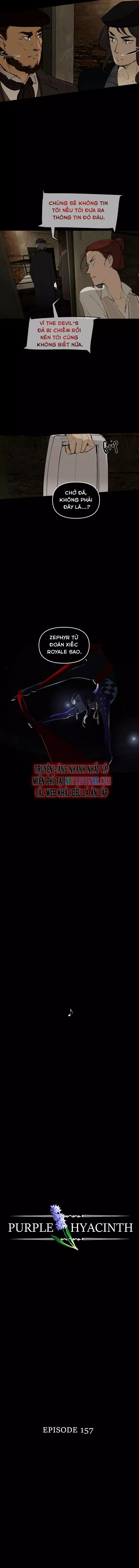 Hoa Lục Bình Tím Chapter 157 - 4