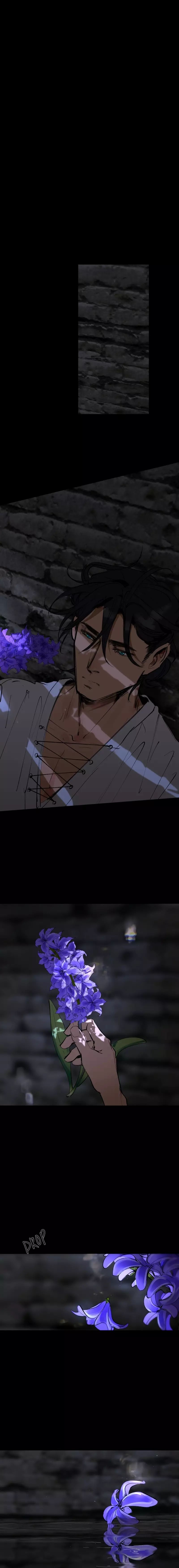 Hoa Lục Bình Tím Chapter 158.5 - 5