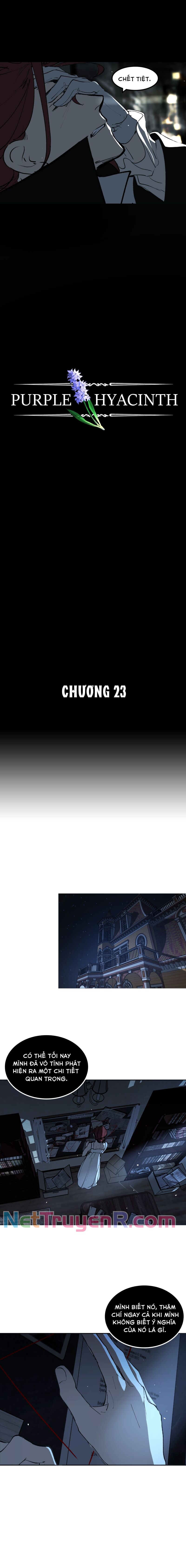 Hoa Lục Bình Tím Chapter 23.1 - 5