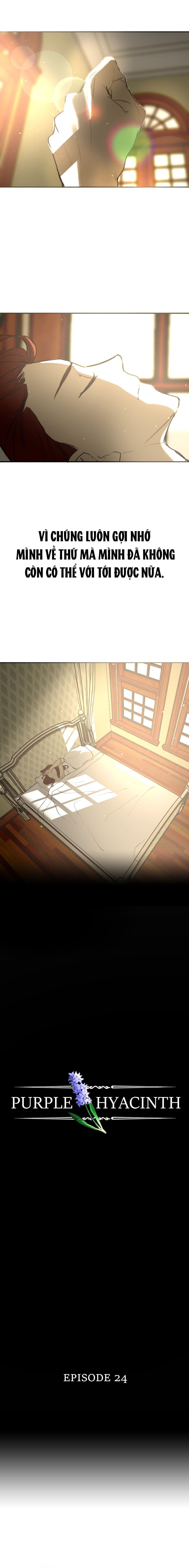 Hoa Lục Bình Tím Chapter 24.1 - 3