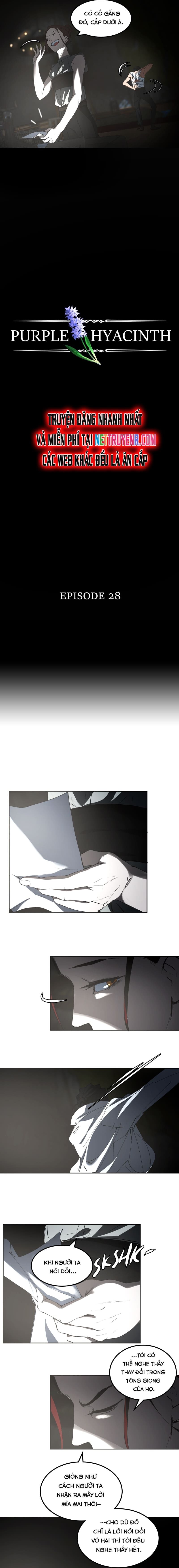 Hoa Lục Bình Tím Chapter 28 - 4