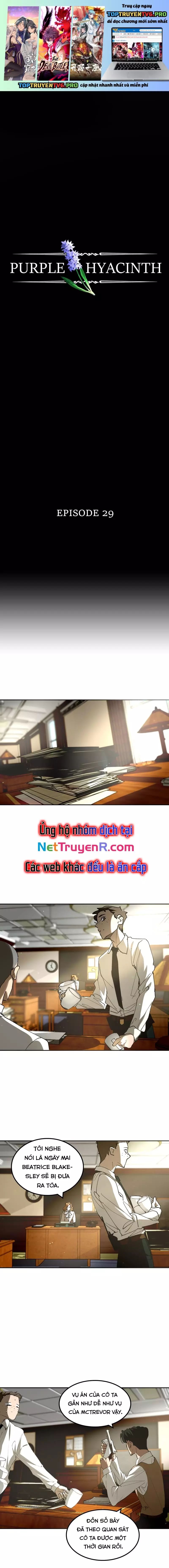 Hoa Lục Bình Tím Chapter 29 - 2