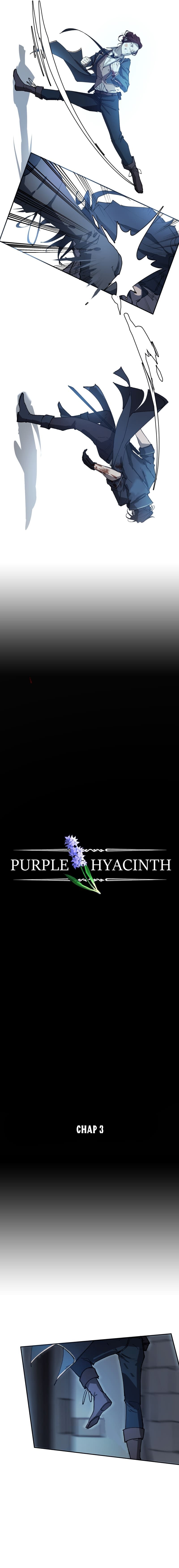 Hoa Lục Bình Tím Chapter 3 - 3