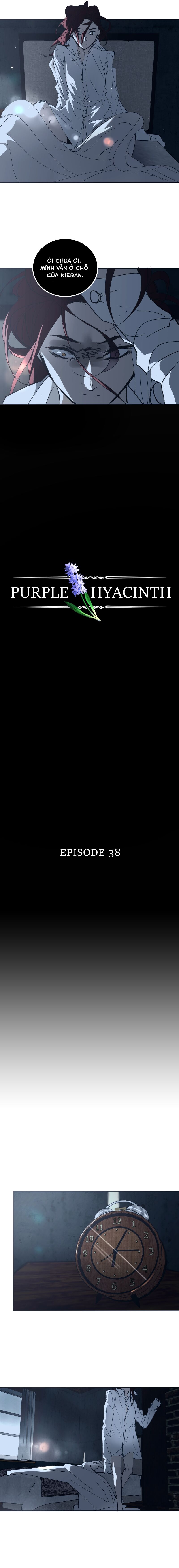 Hoa Lục Bình Tím Chapter 38 - 3