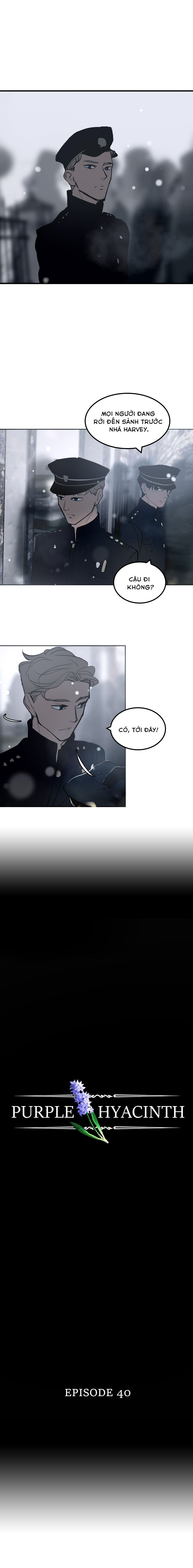 Hoa Lục Bình Tím Chapter 40 - 3