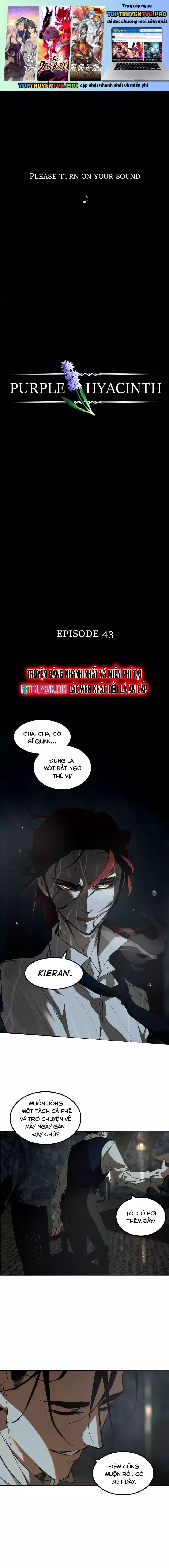 Hoa Lục Bình Tím Chapter 43 - 2