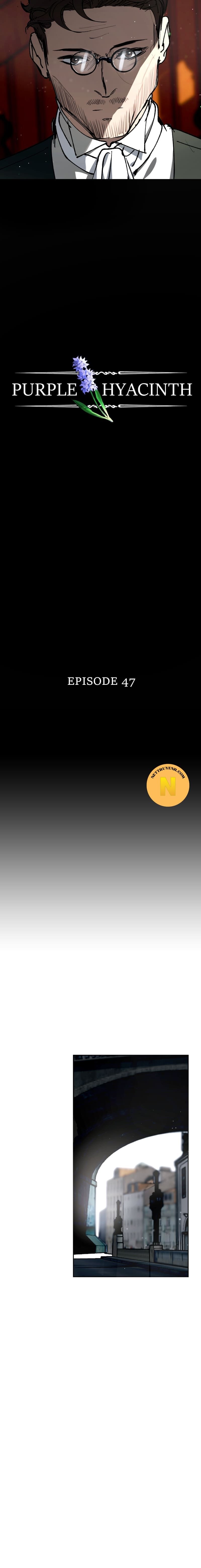 Hoa Lục Bình Tím Chapter 47.1 - 3