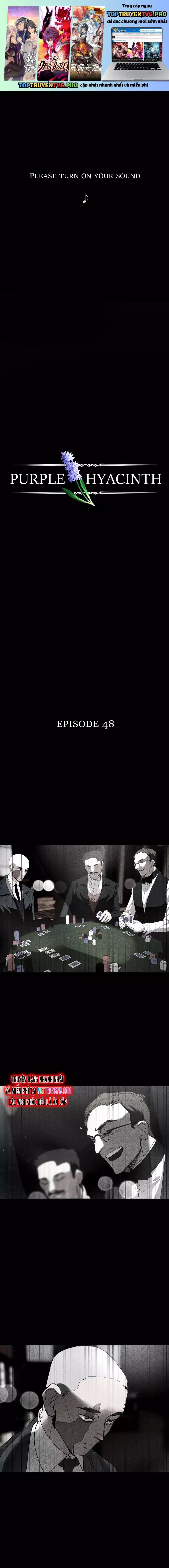 Hoa Lục Bình Tím Chapter 48 - 2