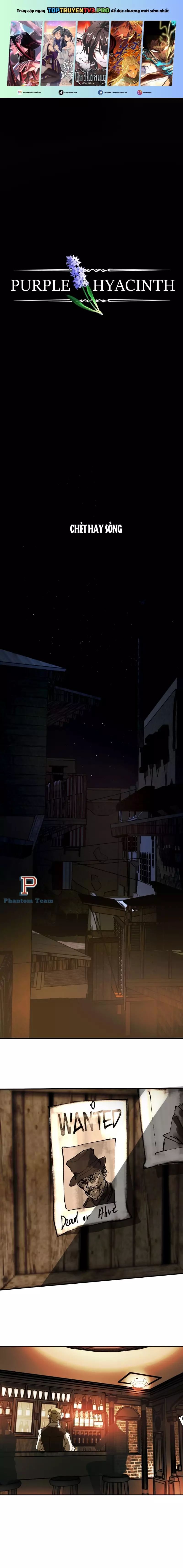 Hoa Lục Bình Tím Chapter 5 - 2