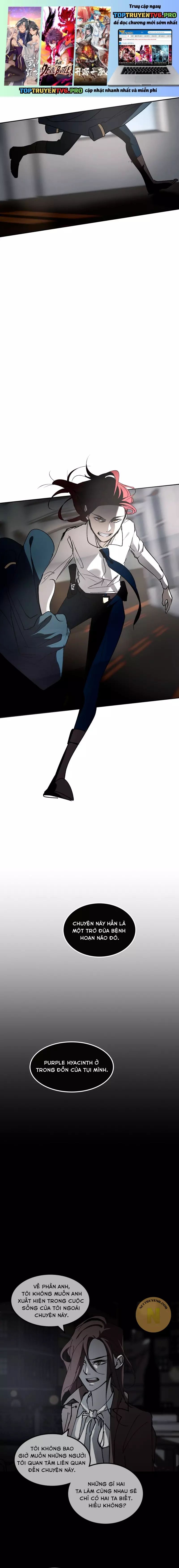 Hoa Lục Bình Tím Chapter 50.2 - 2