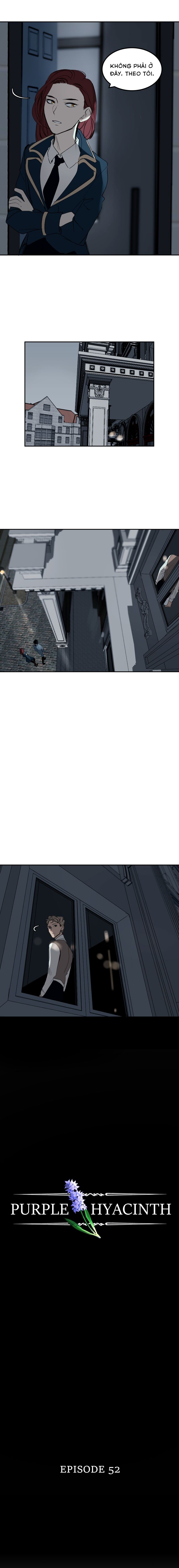 Hoa Lục Bình Tím Chapter 52 - 3