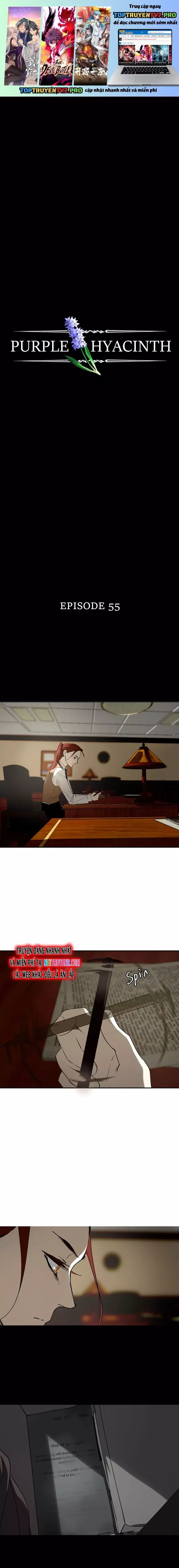 Hoa Lục Bình Tím Chapter 55 - 2