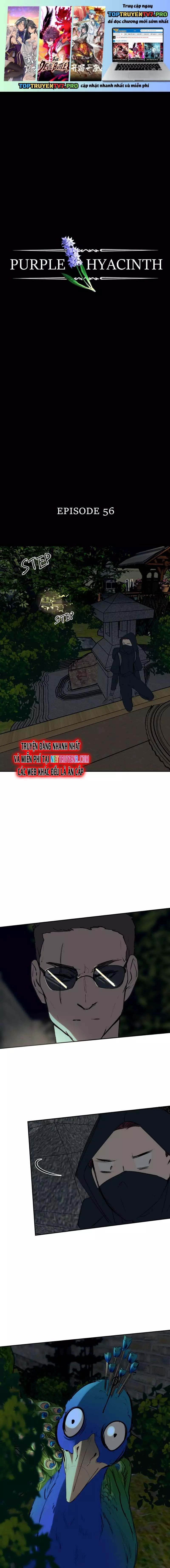 Hoa Lục Bình Tím Chapter 56 - 2