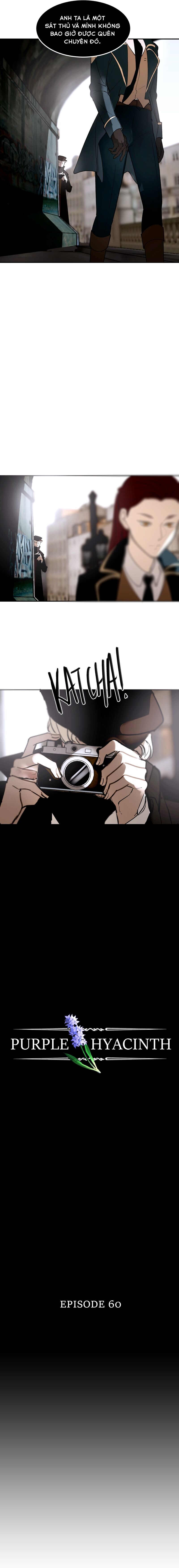 Hoa Lục Bình Tím Chapter 60 - 4