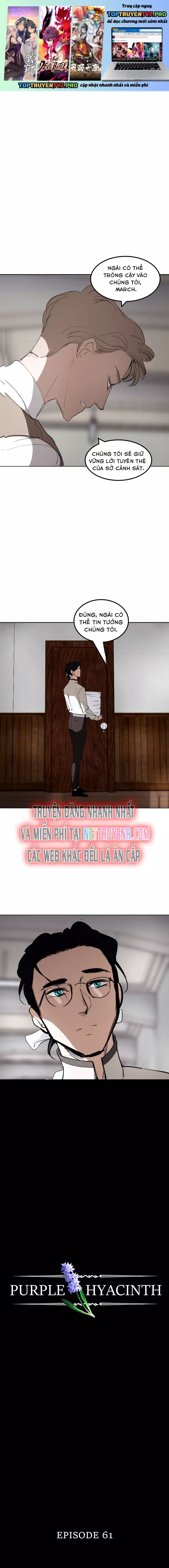 Hoa Lục Bình Tím Chapter 61 - 2