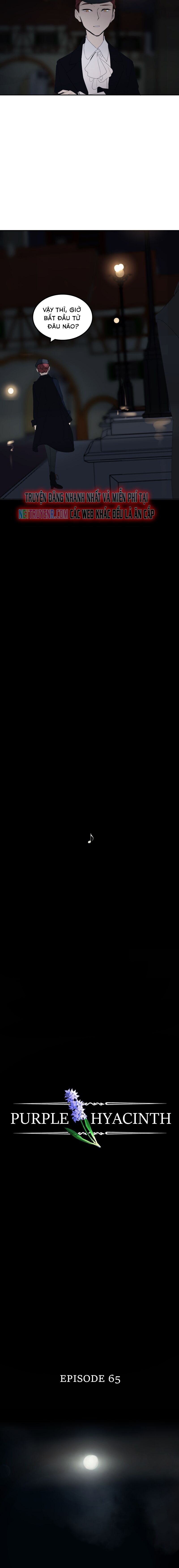 Hoa Lục Bình Tím Chapter 65 - 6