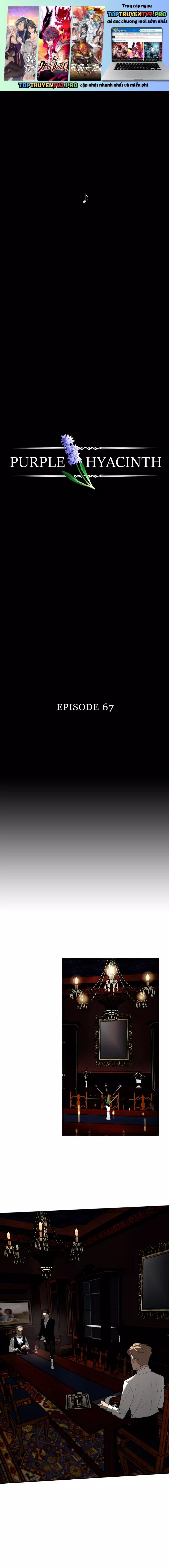 Hoa Lục Bình Tím Chapter 67 - 2