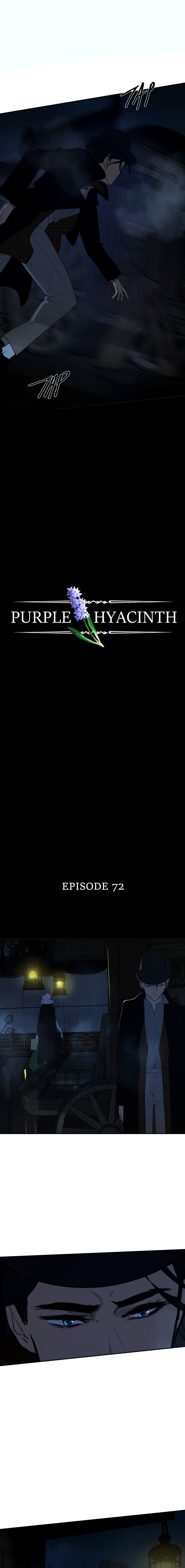 Hoa Lục Bình Tím Chapter 72 - 2