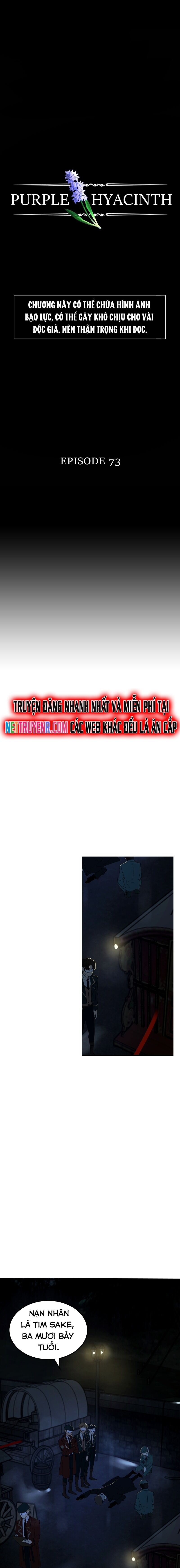 Hoa Lục Bình Tím Chapter 73 - 3