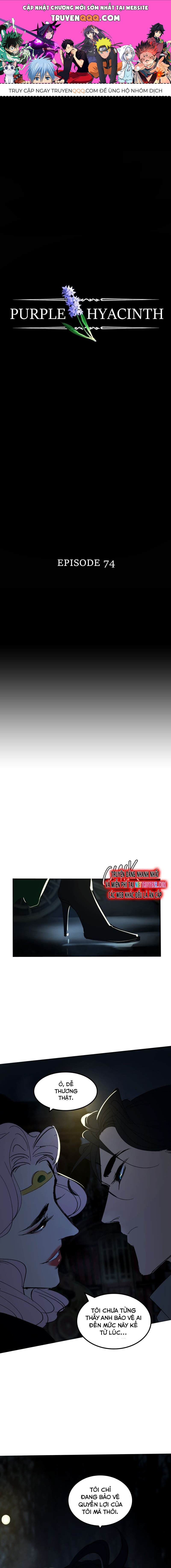 Hoa Lục Bình Tím Chapter 74 - 1