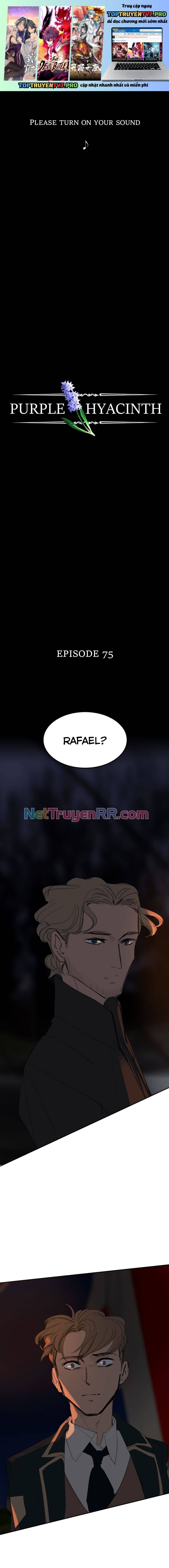 Hoa Lục Bình Tím Chapter 75 - 2